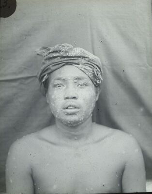 Prenten Adlib\P17825.jpg; P17825; ;